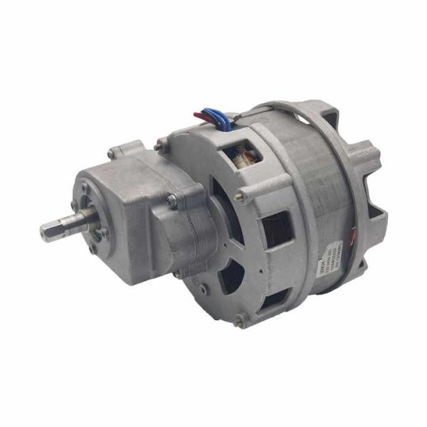 KG-1209250 110-240 V 10-60 tr/min haute puissance 200-500 W moteur à induction électrique pour moteur de mélangeur