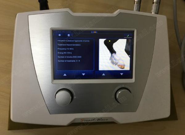 Máquina equino médica veterinária da inquietação para Tendinopathy patelar