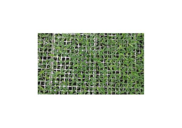 High Density Floating EPS EPP Foam Hydroponic Planting Board Aerosol Cultivation