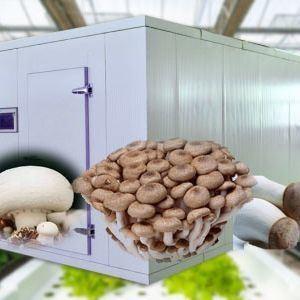 Estufas de contêineres de transporte para o cultivo de cogumelos em projeto inteligente JX-CG-0001