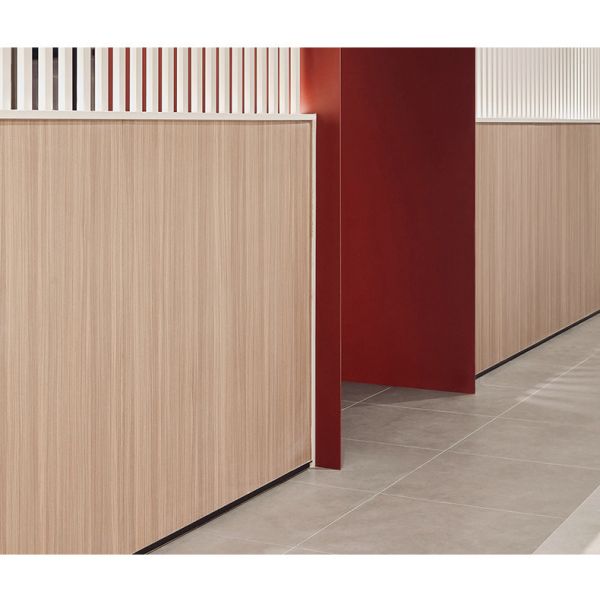 Горячие панели стены облицовки древесины угля зерна древесины доказательства огня и насекомого продажи бамбуковые