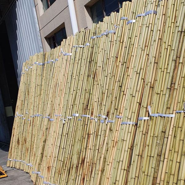 Plantas en macetas de bambú ecológicas para plantas de interior y exterior