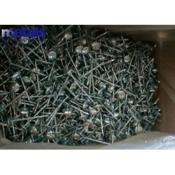 OEM Круглая голова Gi крышные гвозди Серебро Белое отделка Долговечная производительность