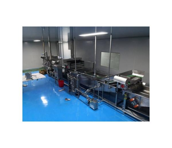 Customized Immersion Tunnel Sterilization System for Packed Paste Manufacturing Line