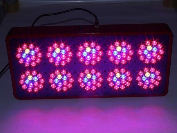 400W apollo growing LED grow light wholesale for greenhouse