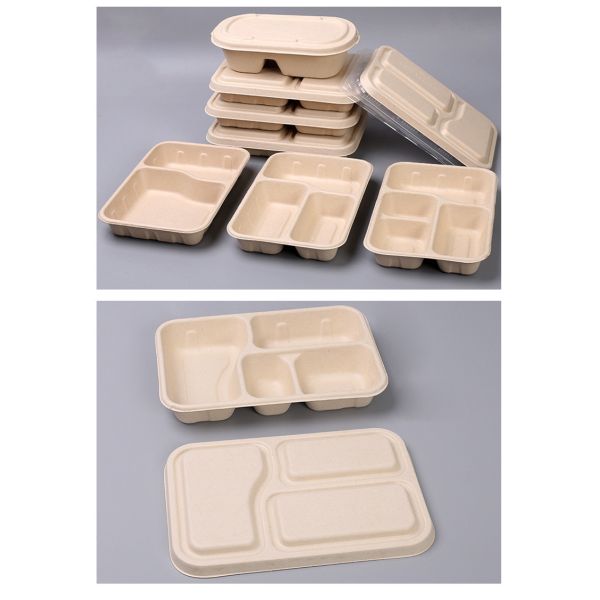 Сахарный тростник школьного обеда Biodegradable покрывает устранимое