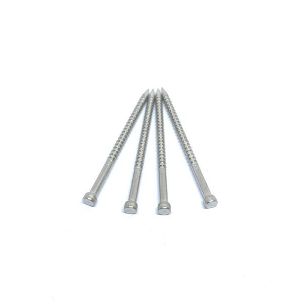 Chef perdu Ring Shank Nails annulaire SUS304 SUS316 SUS304L SUS316L de 50 x de 3.0mm