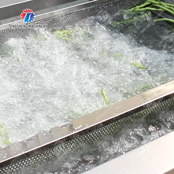 Fruit and vegetable washing and vibrating drying production line Fruit Vegetable FOOD processing production Machine Versatile and Durable Fruit Vegetable Processing Line for Your Business Processin