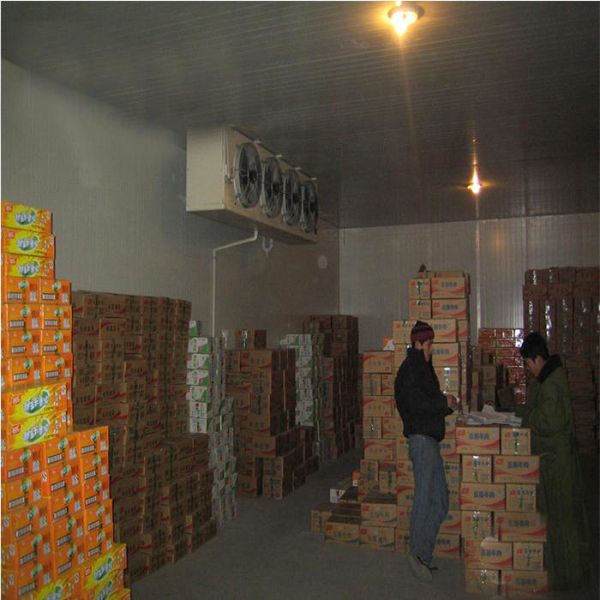 caminhada da exposição de 380V 50Hz LCD no congelador mais fresco