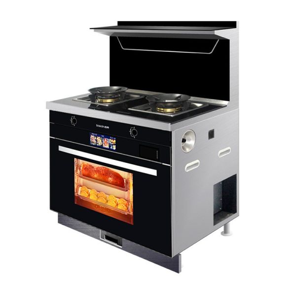 Integrated Stove with 2 Burners Picture Gas Stove Steamer and Oven from Manufacturing