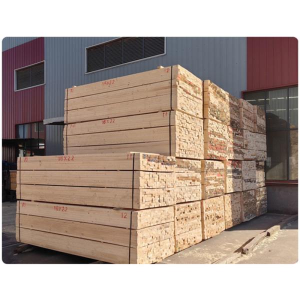 Black Birch Ply 18mm 21mm Birchwood Plywood Template 1250x2550mm