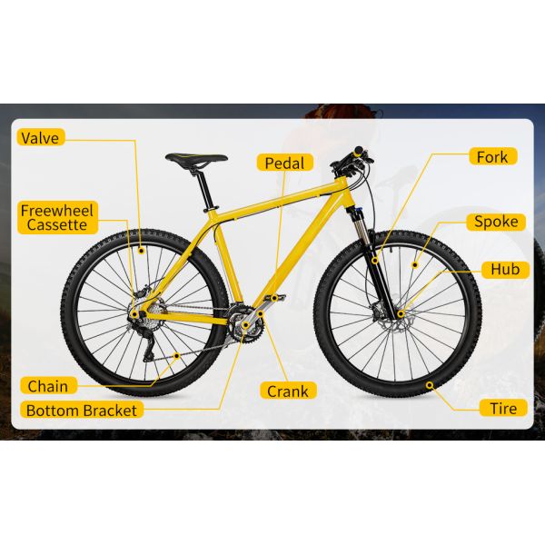 Bike Repair Tool Kit - 16 in 1 Bicycle Multitool Mountain Bike Tool Cycling Maintenance, Bike Hex Key Wrench