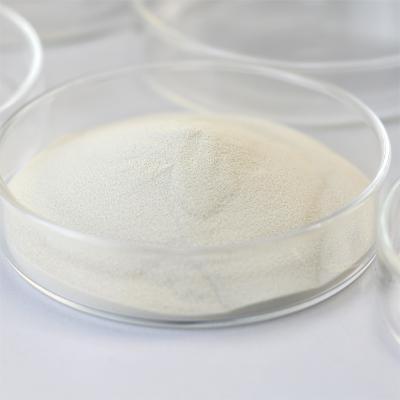 Hydrolyse de l'amidon, amylase fongique de qualité alimentaire, α - amylase