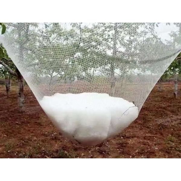 HDPE 100% Anti Hail Net White Heavy Duty Garden Protection