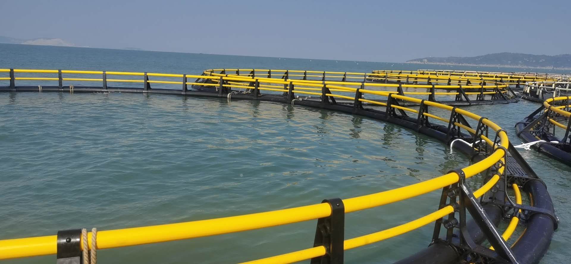 Invest in Premium HDPE Fish Cages: Secure Better Taste and Higher Market Prices
