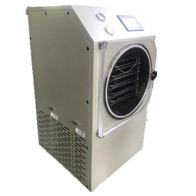 110-240V liofilizou o nível alto de poupança de energia da automatização da máquina de fruto