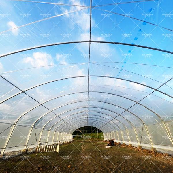 Estufas de filme PE de alto desempenho para projetos agrícolas