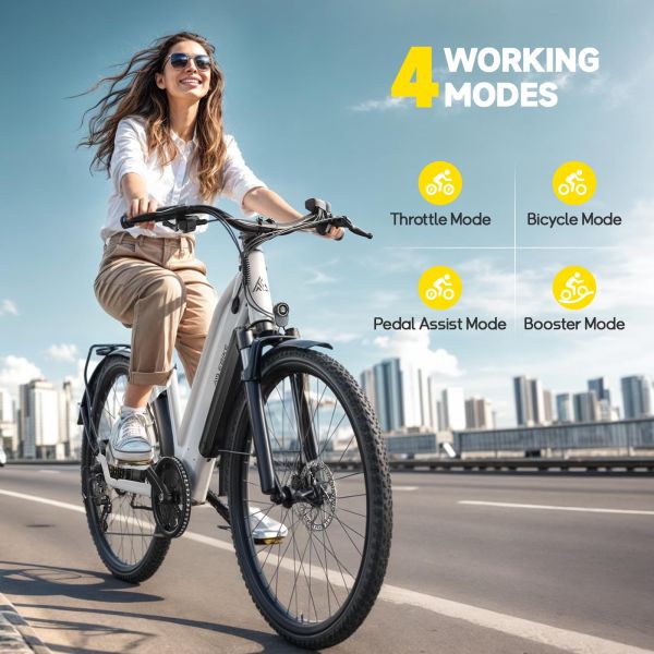 TST C624 500W/750W Motor Adults Electric City Bike 36V/10.4Ah Removable 37km/h 7-Speed City Ebike 26