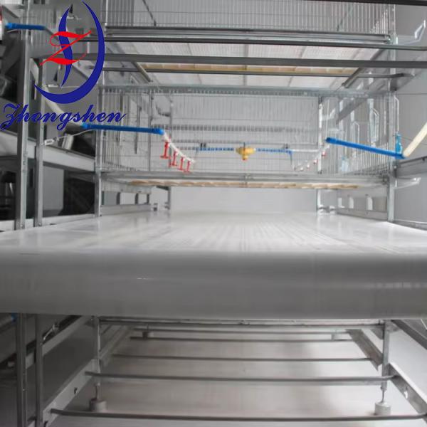 Customization Poultry PP/PE Manure Removal Belts from Zhongshen