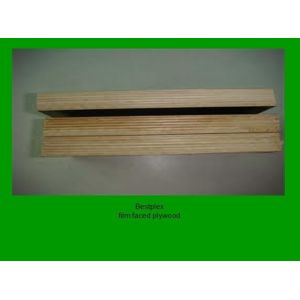 Birch film faced plywood
