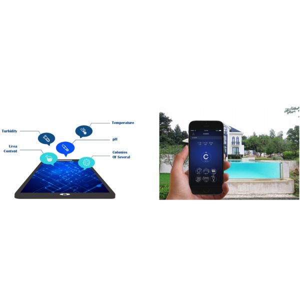 Луцитовый акриловый задний бассейн для виллы и пляжного дома