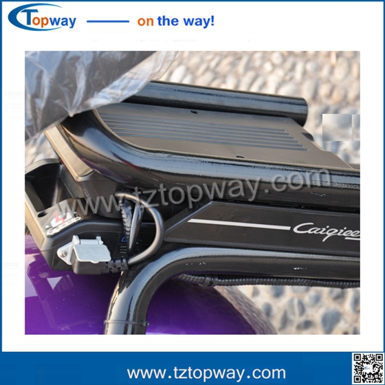 City offroad 2 wheel big tire halley electric scooter motorcycle citycoco