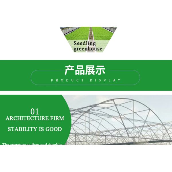 Single-Span Agricultural Greenhouses with Film Cover The Perfect Growing Environment