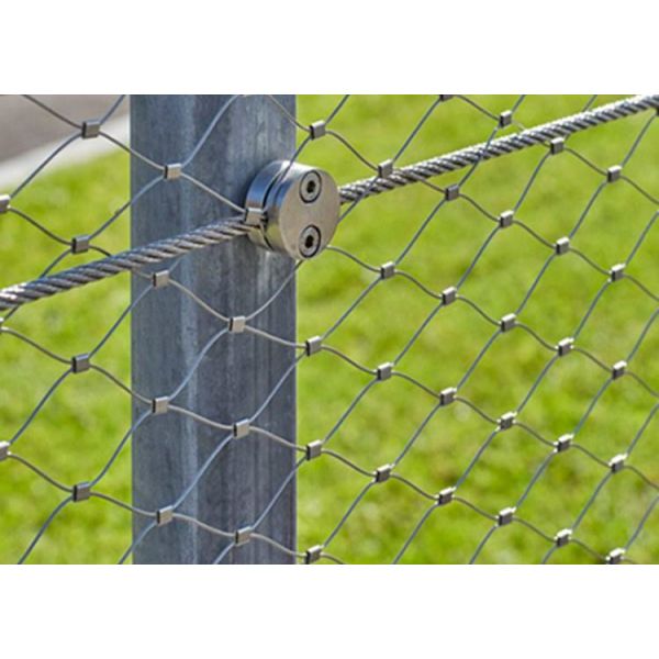 Aviary Wire Mesh SS316 50*50mm Aviary Netting For Animal Poultry Cage