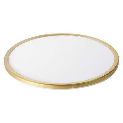 100lm/W Dimmable Living Room Ceiling Lights IP44 24W 16 Inch