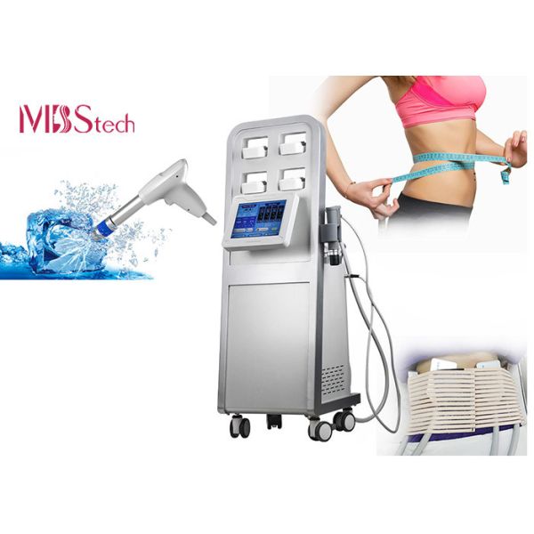 Réduction Cryolipolysis d'onde de choc de Cryo grosse amincissant la machine