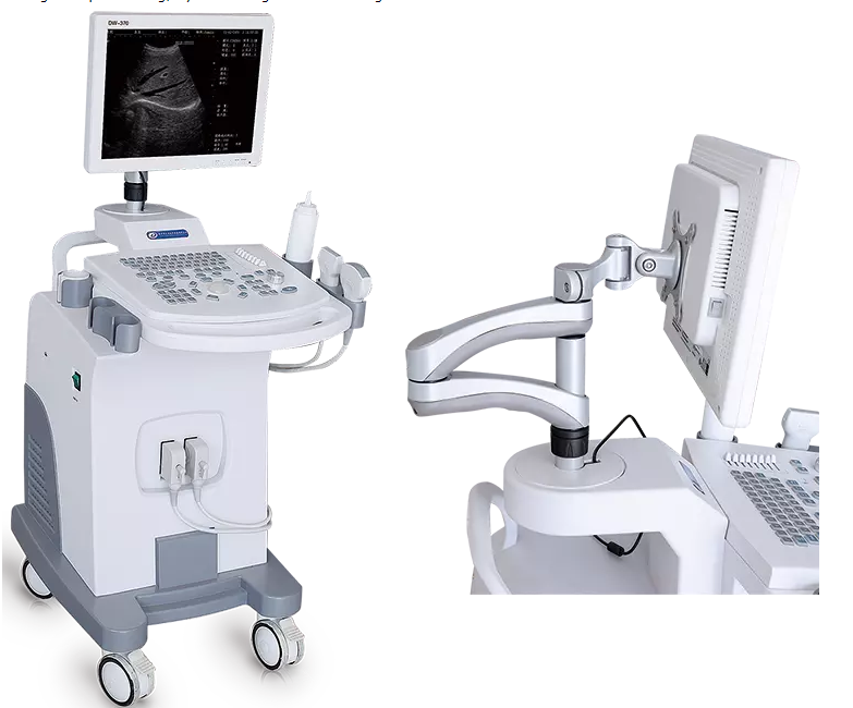 Veterinary Clinic B/W Trolley Ultrasound Diagnostic System For Small Dogs And Cats
