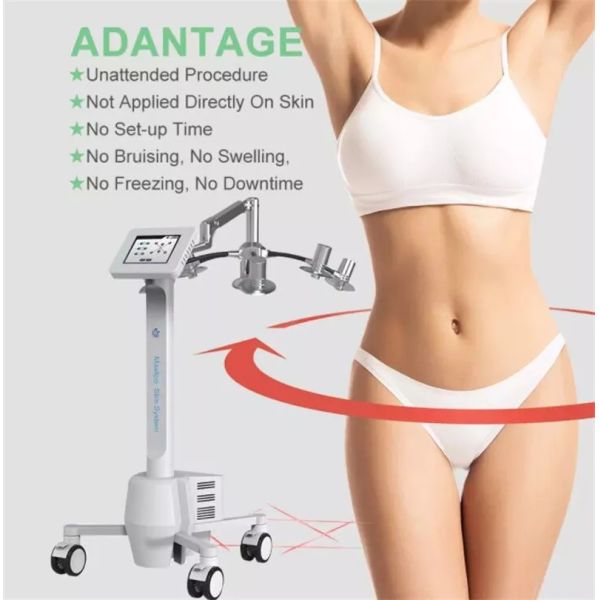 220v Portable Cryolipolysis Machine 6d Lipolaser Zerona Beauty