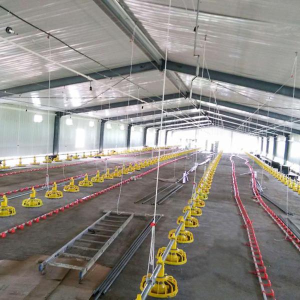 Hotel Fully Automated Broiler Poultry Prefab Steel Structure Chicken Farming Equipment
