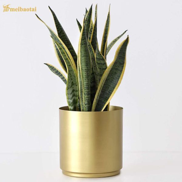 Изготовление PVD металлического листа нержавеющей стали волосяного покрова покрыло 40-80mm Dimater