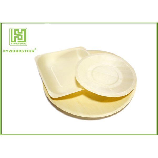 Eco Friendly Disposable Wooden Plates Bulk Camping Dinnerware Sets