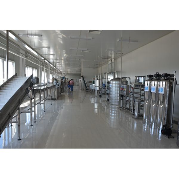 SUS304 55% Mango Juice Processing Machine 500-1000kgs/H