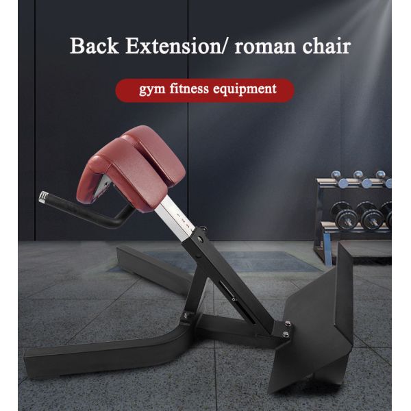 Salle de sport 45 degrés machine d'extension du dos chaise romaine banc de gym à vendre