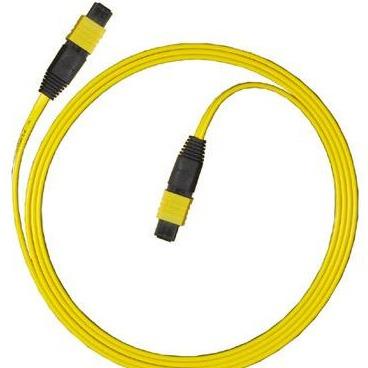 MPO MTP Fiber Optic Patchcord Fiber Jumper Cables MPO Or MTP