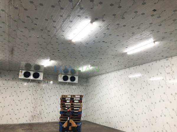 300 Square Meters Vegetables and Fruits Walk In Cold Room Manufacturer