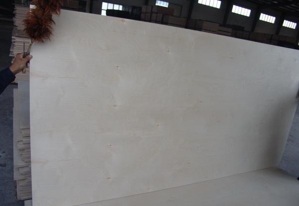 Birch Faced Furniture Decoration Commercial Grade Plywood 12% Moisture
