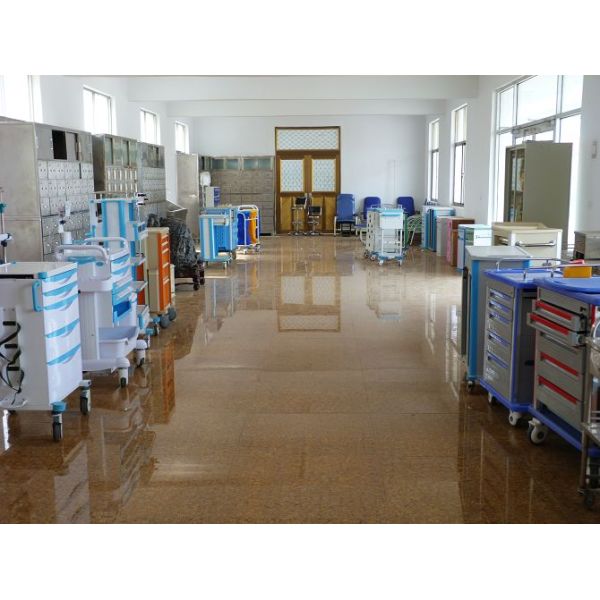 Durable Two Shelves Stainless Steel Medical Trolley Surgical Instrument Trolley (ALS-SS02)