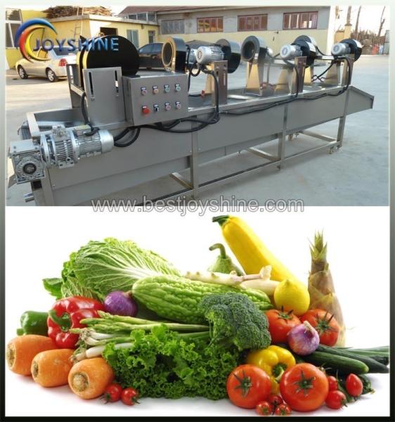 Máquina de secagem industrial de frutas para secar alimentos e vegetais