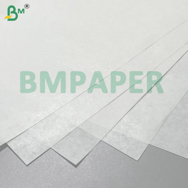 40g 60g White Waterproof Grape Packing Paper Food Grade Tear-Resistant for Fresh Fruit & Cold Chain Logistics 40g 60g White Waterproof Grape Packing Paper Food Grade Tear - Resistant for Fresh Fruit & Cold Chain Logistics