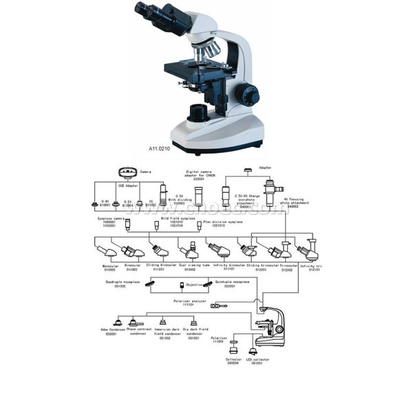Infinity Biological Microscope Compensation Binocular Head Microscopes A11.0210
