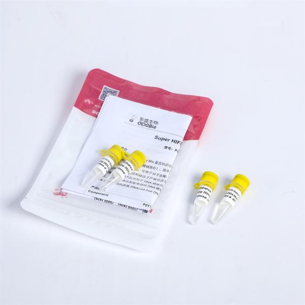 DNA Taq Polymerase Super HIFI PCR Master Mix P2111 P2112 P2113 Hotstart Proofreading
