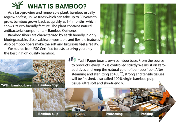 Factory Customized Eco-friendly 4ply Soft Bamboo Toilet Tissue Rolls with Custom Logo Packaging