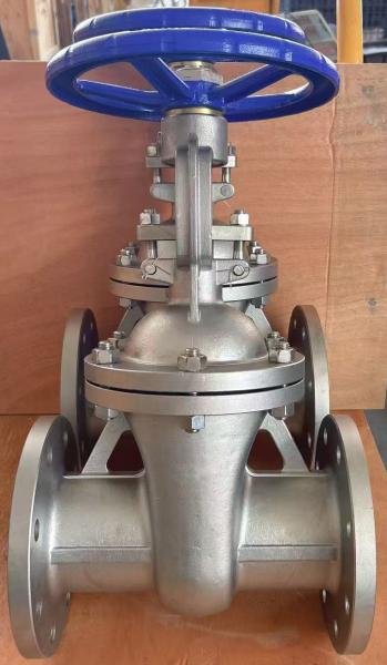 CF8M válvula de puerta con brida PN16RF con manivela