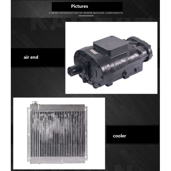 55kw Electric Motor Stationary Screw Direct Driven Air Compressors IP54 Rate