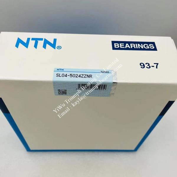 NTN Double Row Cylindrical Roller Bearing SL04 5024ZZNR , SL04-5024ZZNR