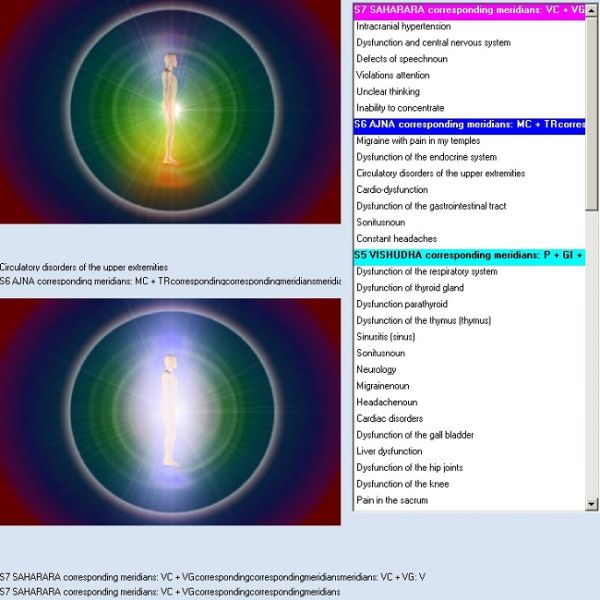 Italian Health Analyzer Machine Body Diagnostic Equipment High Accuracy and Eco-friendly